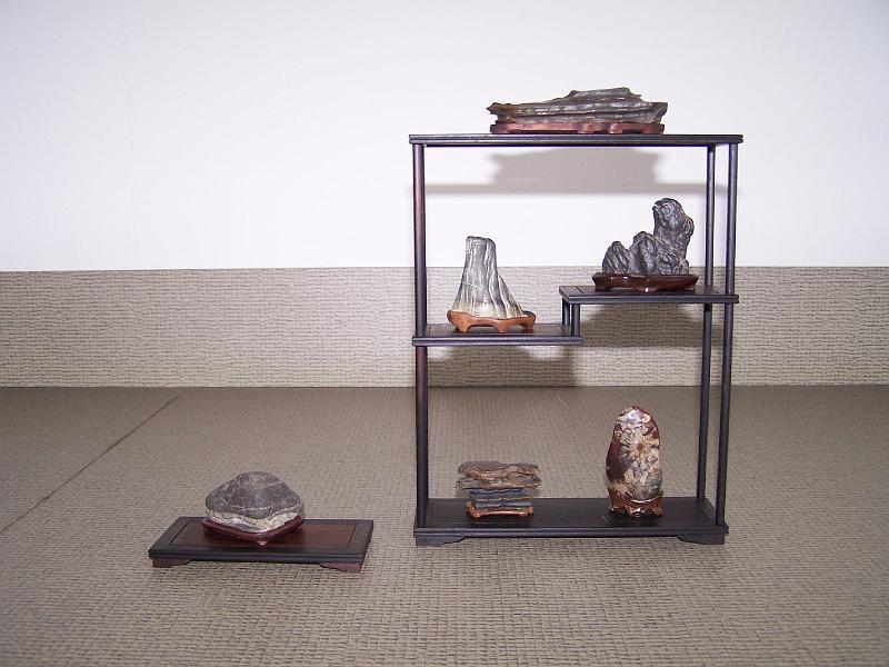 nieuwe foto's 200 121.jpg